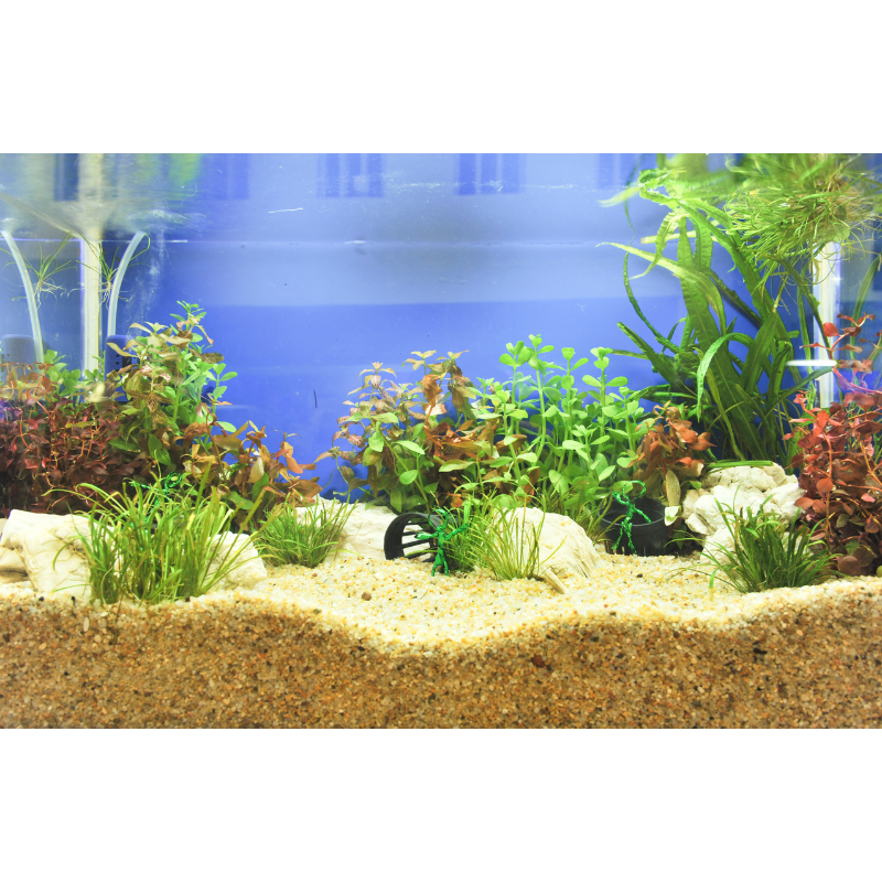 Setting Up Your Aquarium Step 2: The Bottom of the Tank
