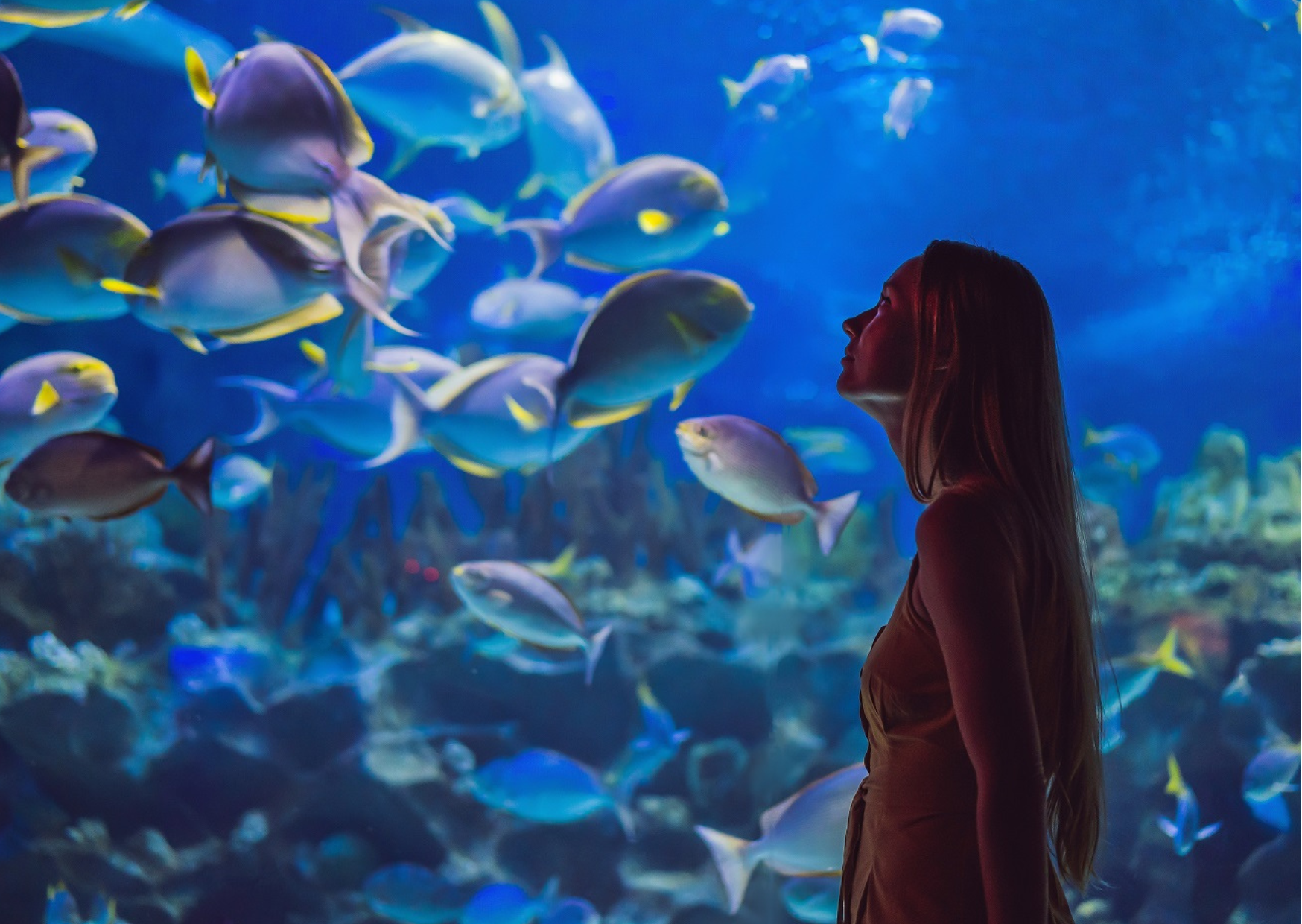 Can fish help heal a broken heart?