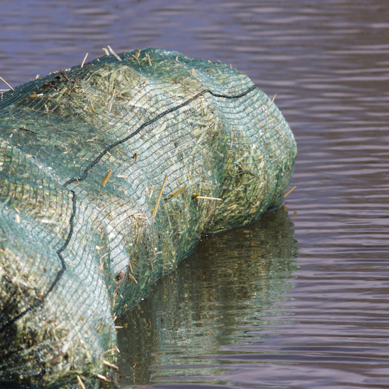 Green Water: How to Treat a Pond with Barley Straw