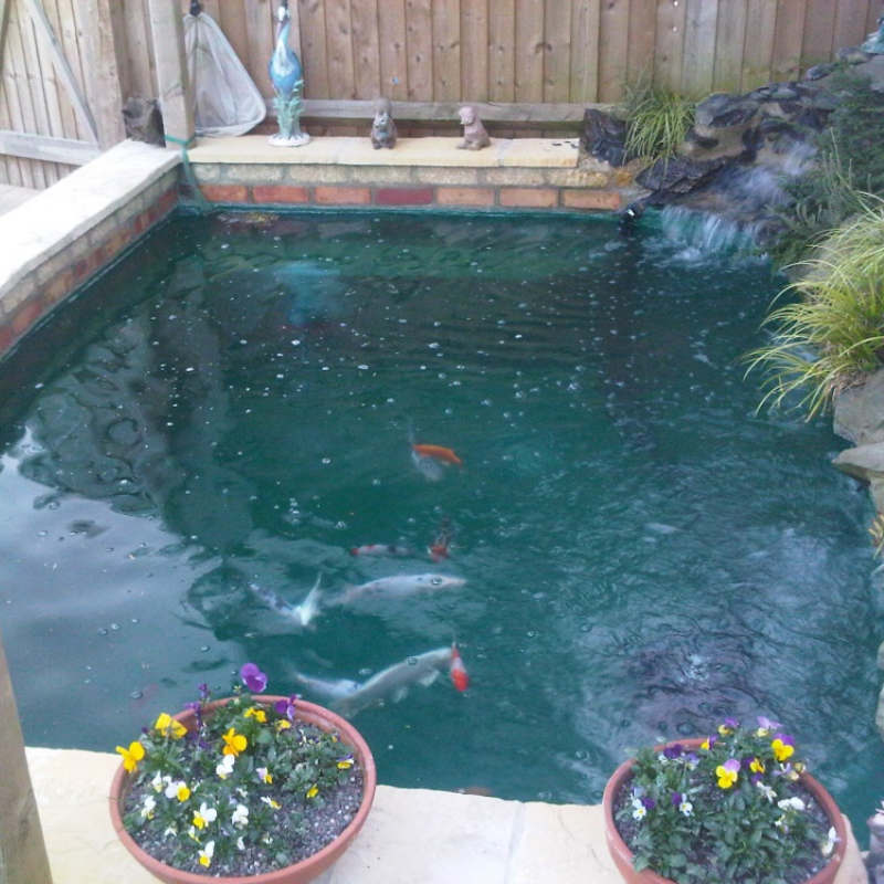 How long do Fibreglass Ponds last?