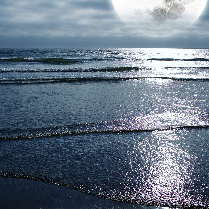 The Moon and the Tides of the Sea
