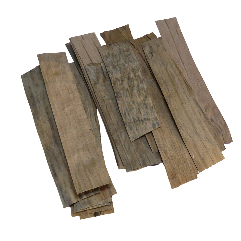 Banana leaves for aquariums