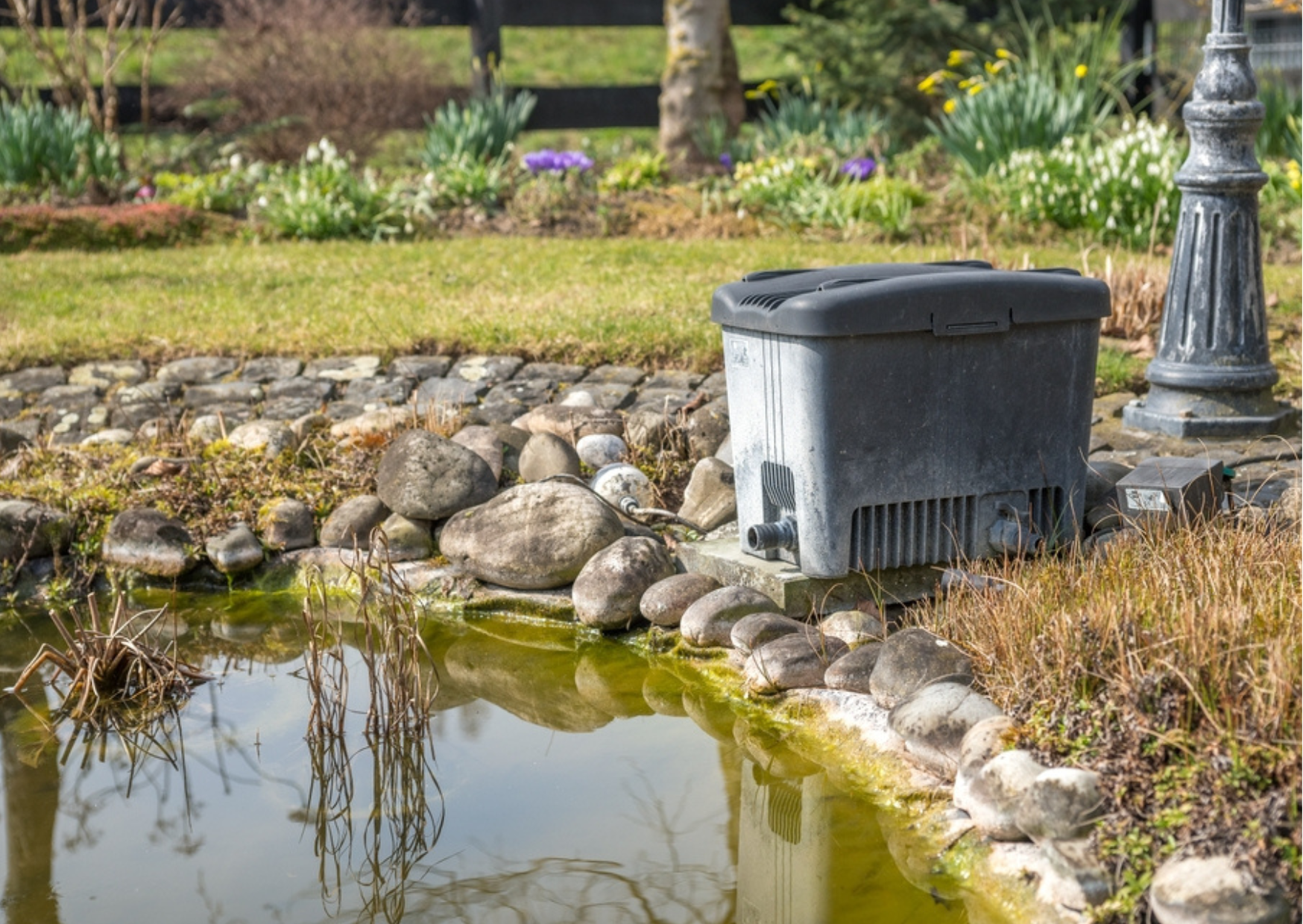 What Is a Gravity‑Fed Pond Filter?