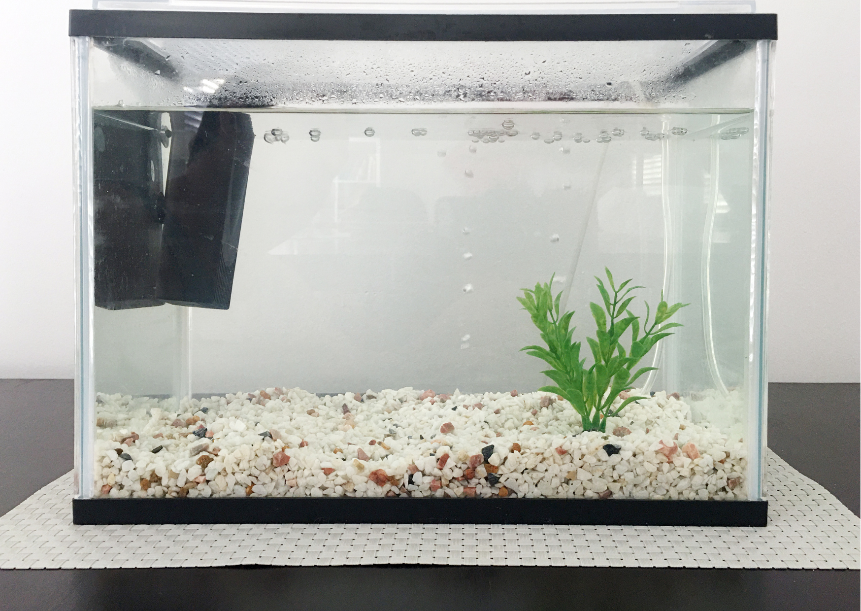 How to get rid of condensation in a fish tank
