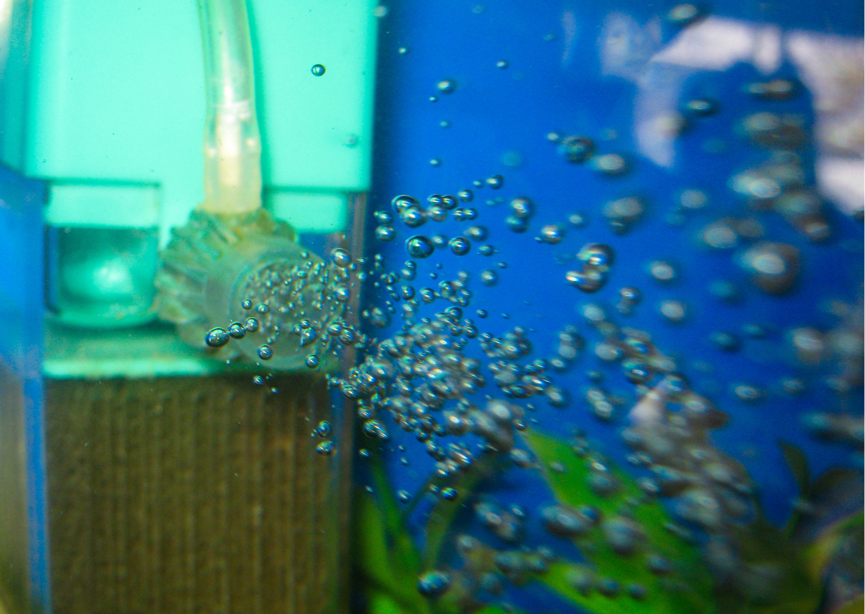 What to do if your aquarium air supply fails | advice