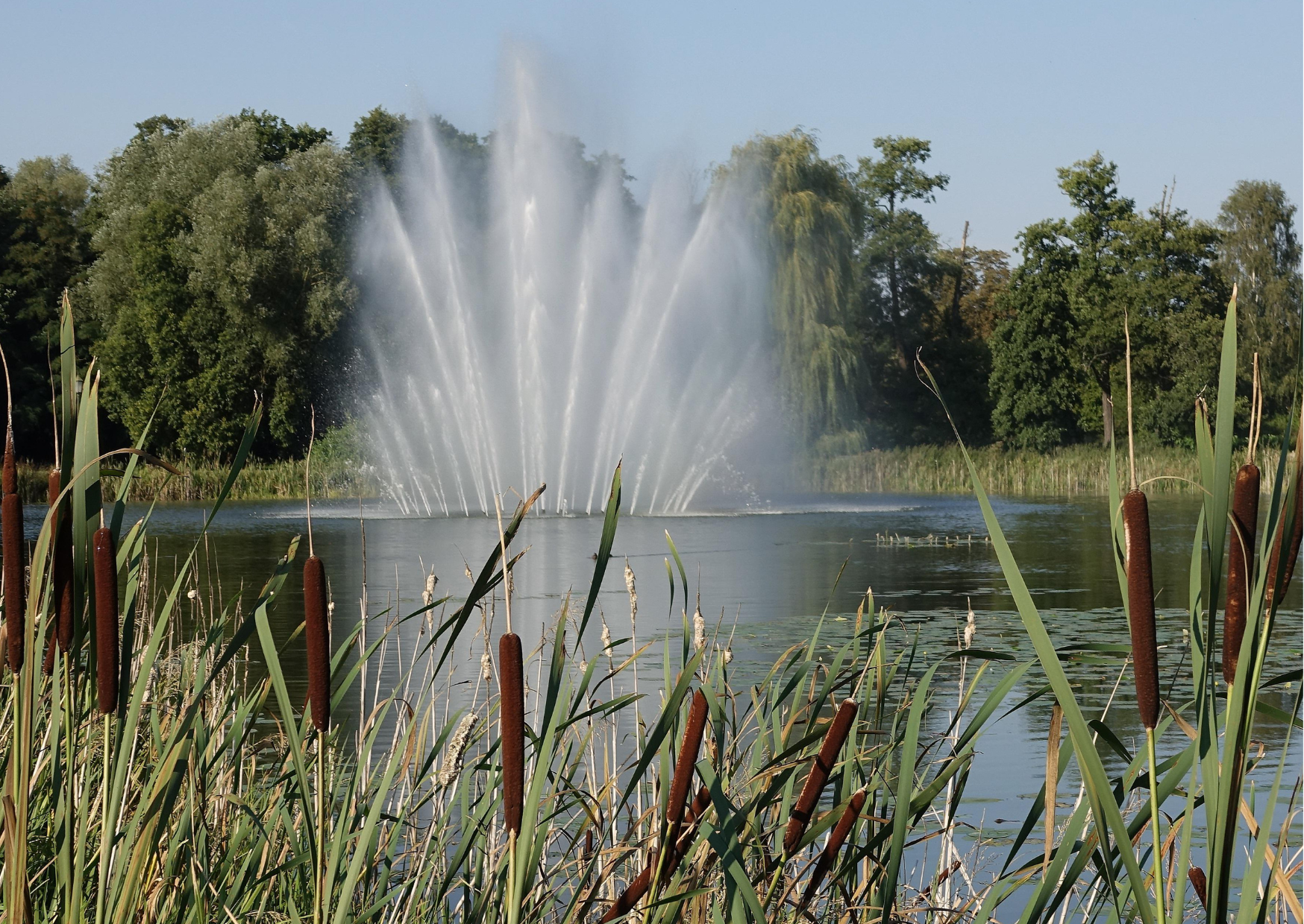 The Best Fountain Pond Pumps for 2024
