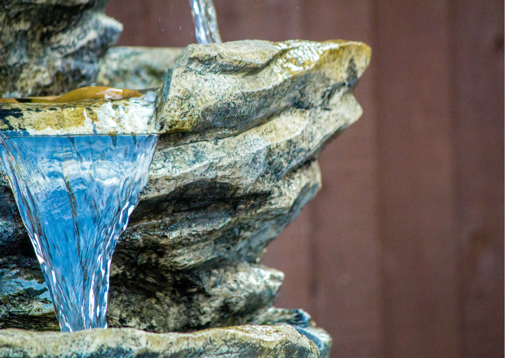 The Best Garden Water Features for 2024