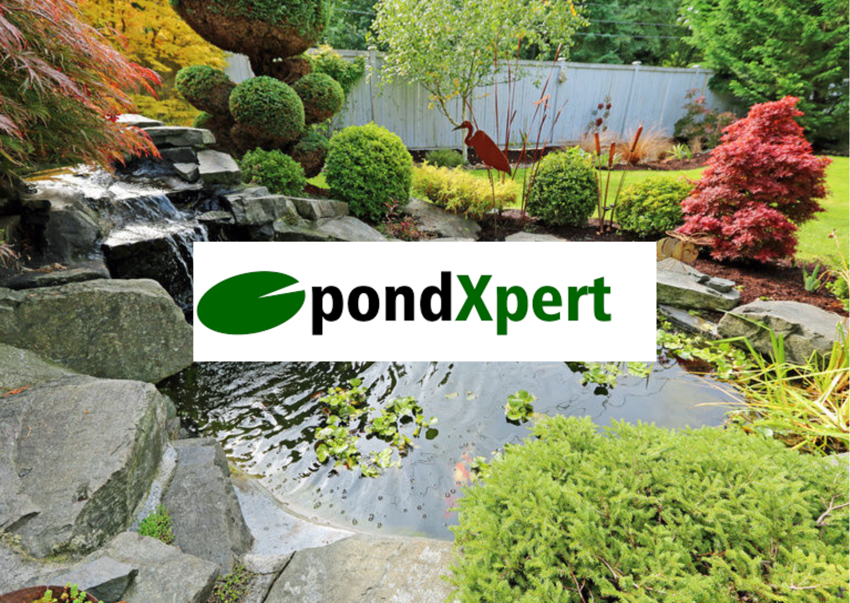 PondXpert Guide | How To Build A Pond In A Weekend