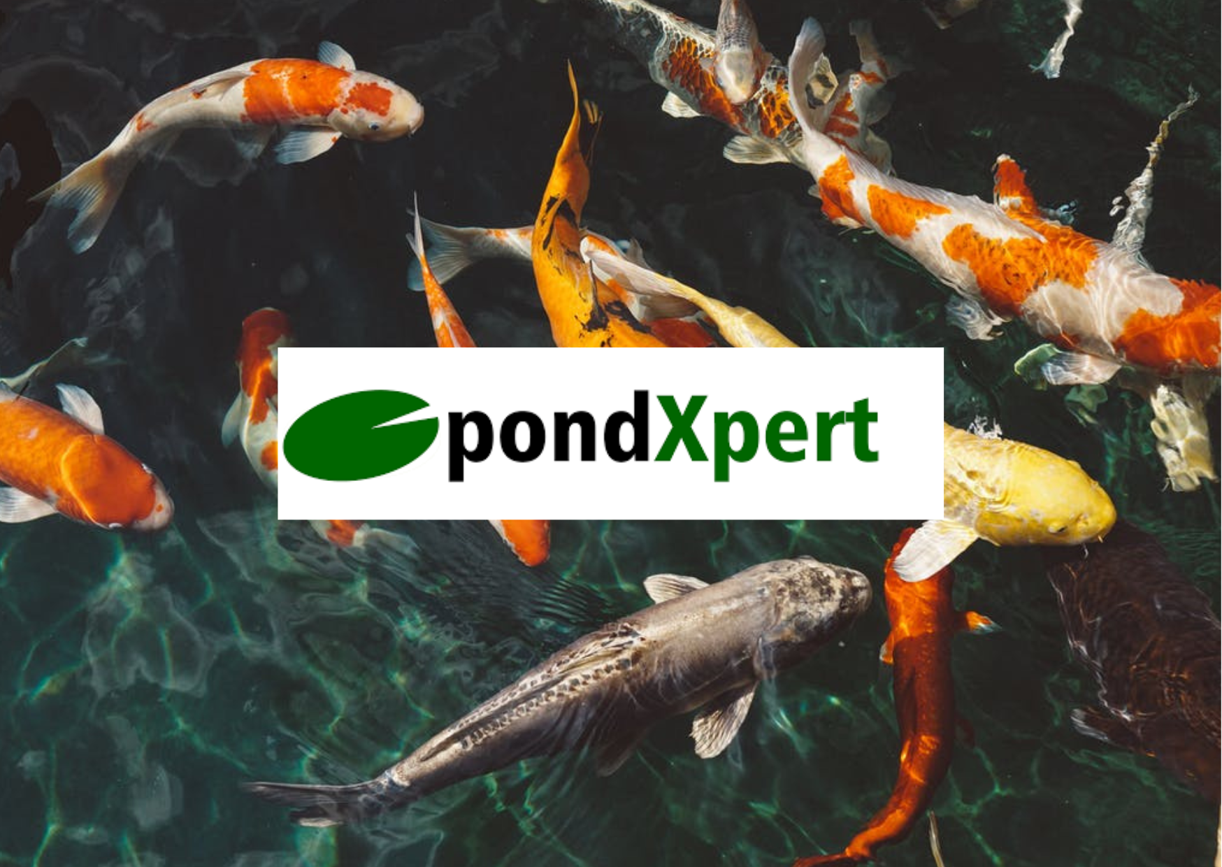 PondXpert Guide | Water Quality
