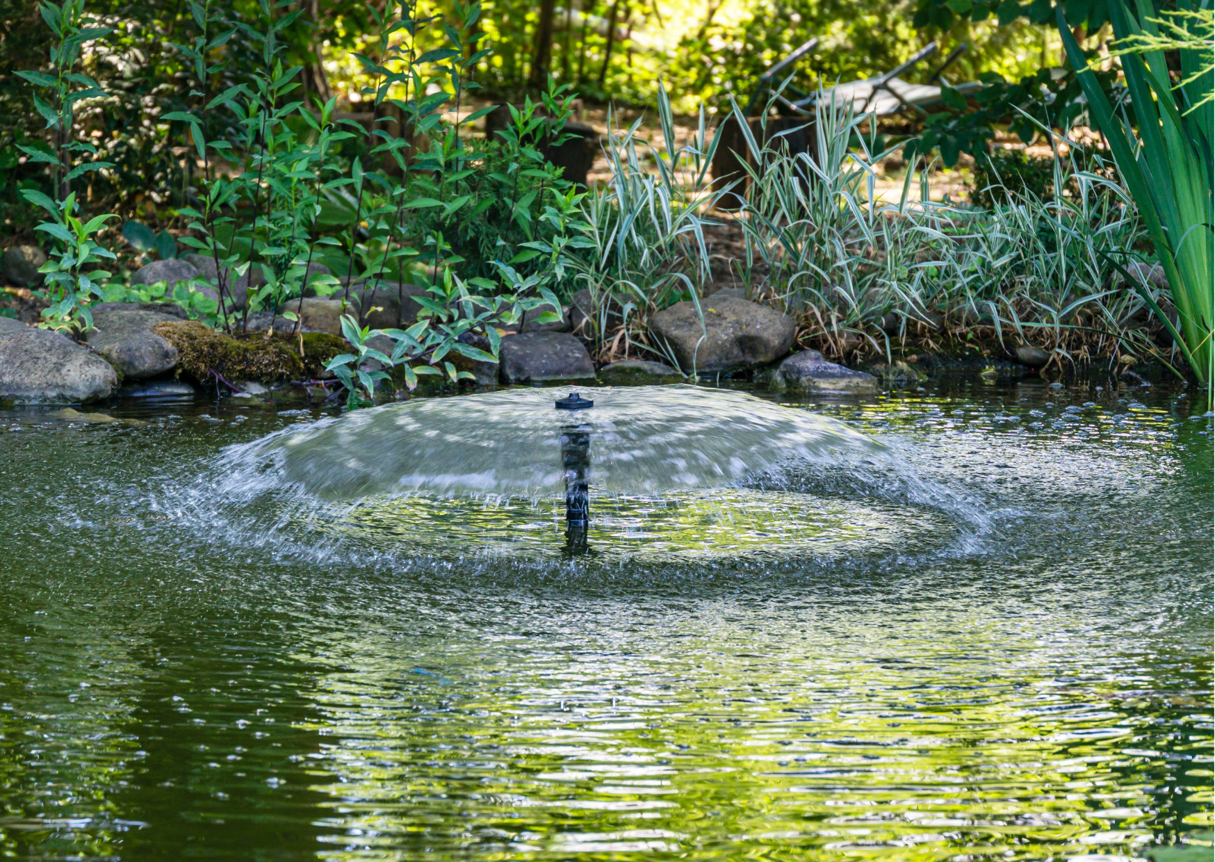 The Best All-in-One Pond Filters for 2025