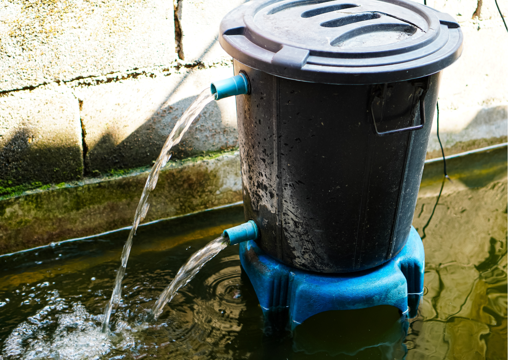 The Best Pressurised Pond Filters for 2025