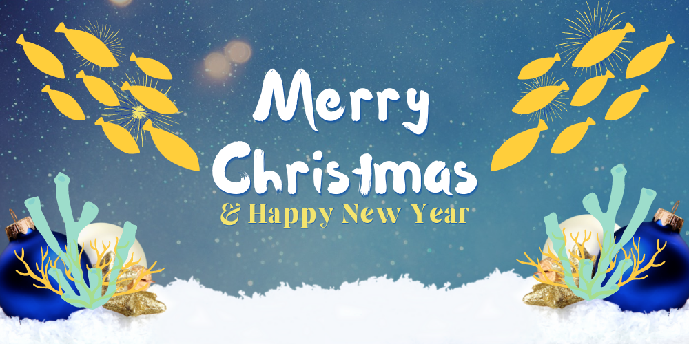 Christmas Postage Schedules