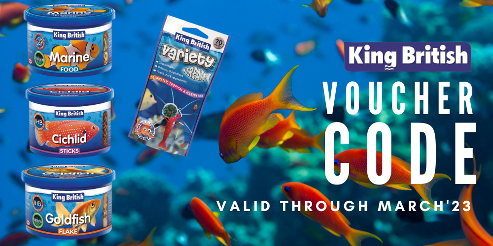 King British Discount Code March 2023 Real Aquatics