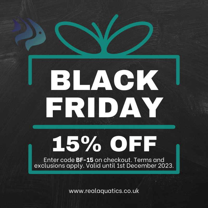 Black Friday: Discount Code 2023