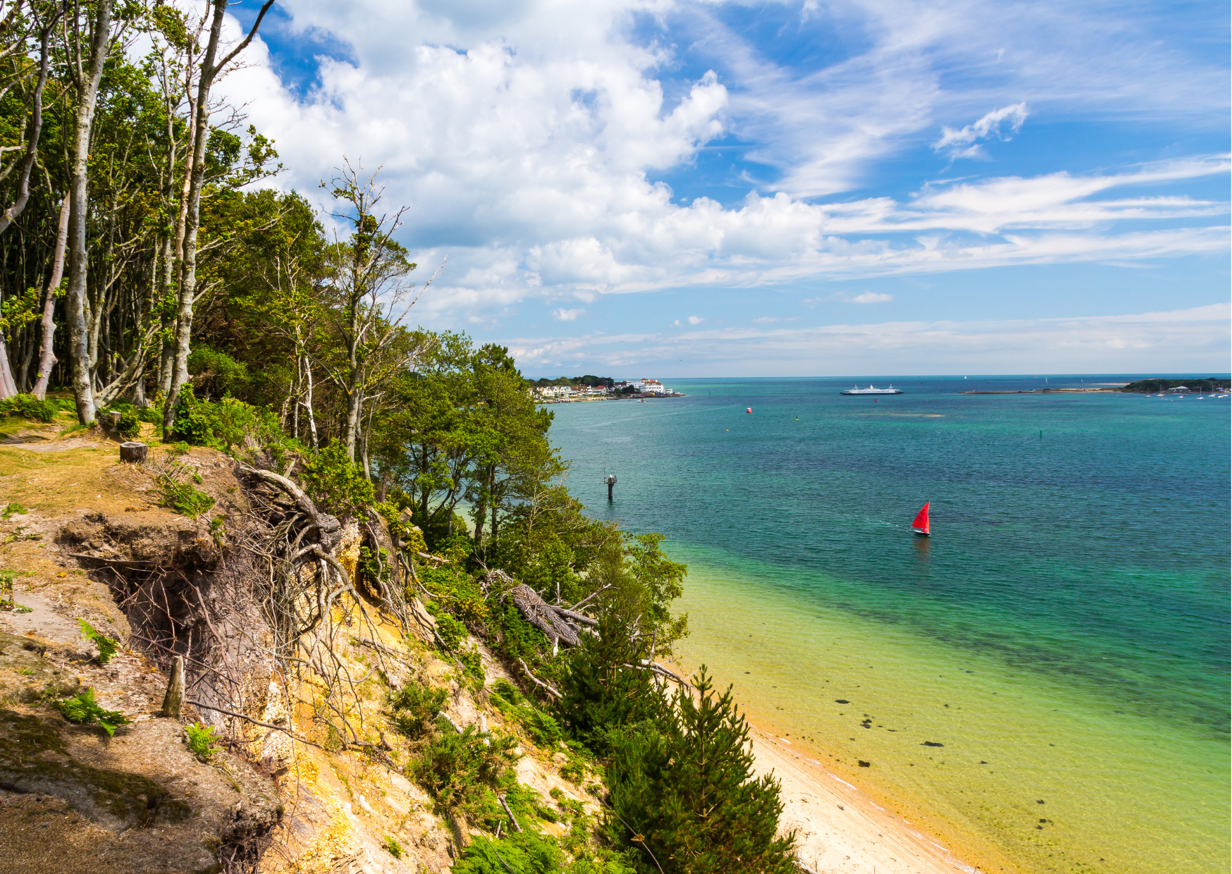 Around our Shores Brownsea Island Dorset Real Aquatics