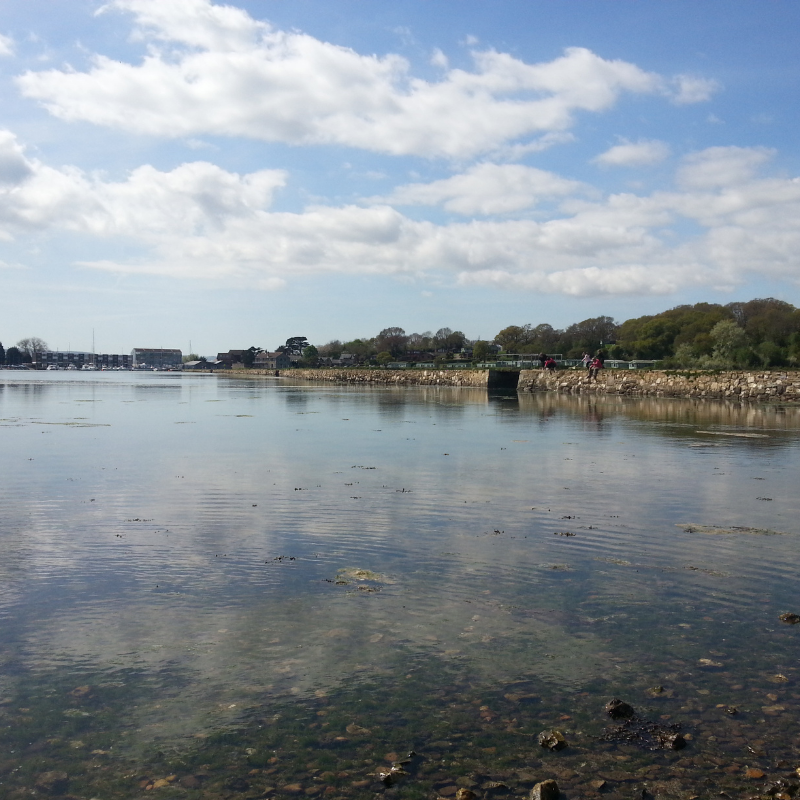 What is Brackish water?