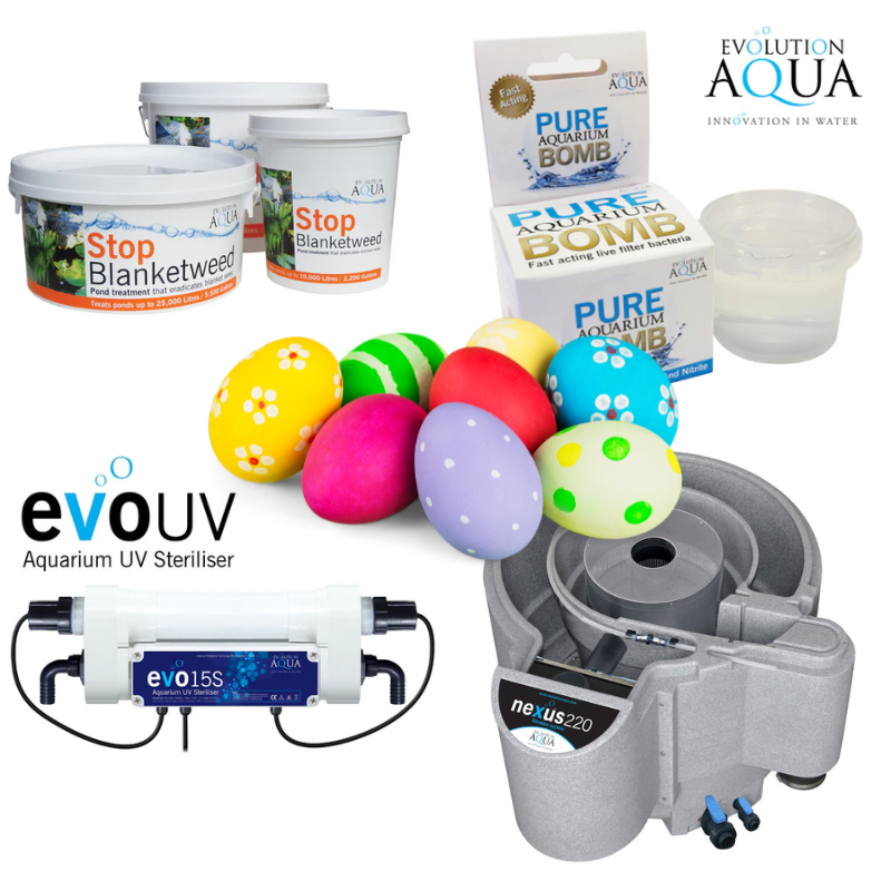 Discount Code: Evolution Aqua | 5% off through Easter | 2023