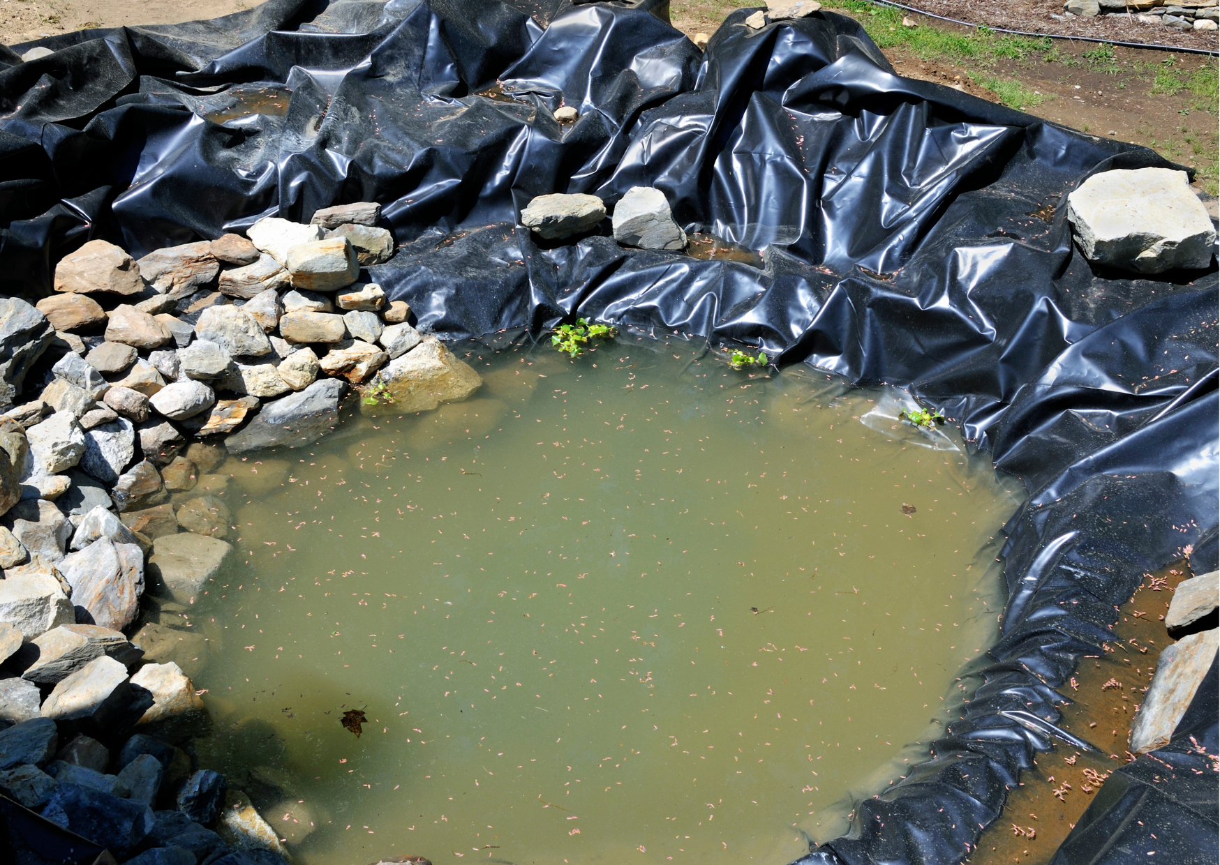 Pond Liner Calculator - Click Here