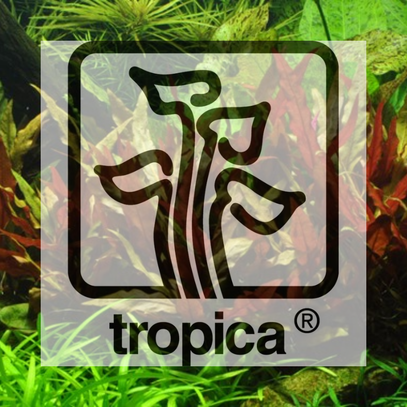 Tropica: 1-2-Grow! Freshness Guaranteed