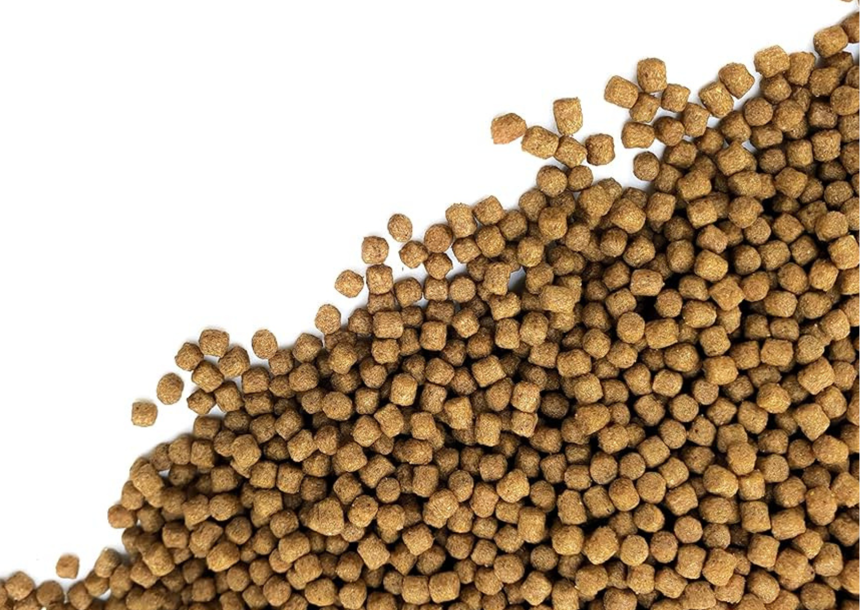 What should I feed my Pond Fish in winter?