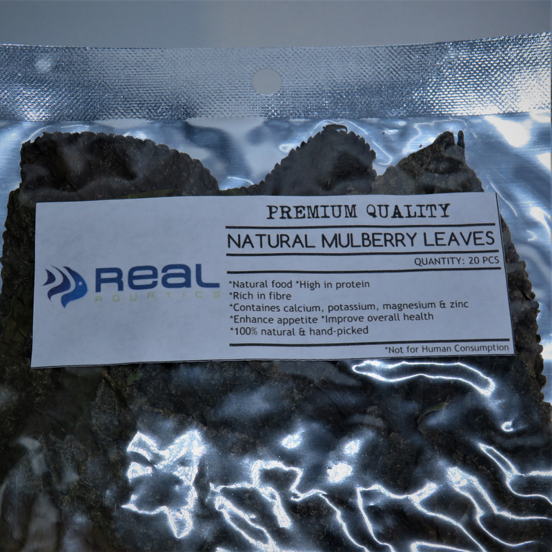 Natural Mulberry Leaves x20 Shrimp Food