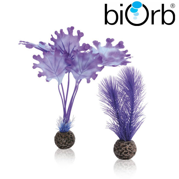 BiOrb Kelp Set Purple Small Pk of 2 46079
