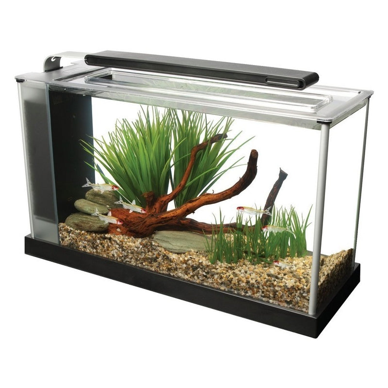 Fluval Spec 19L Nano Aquarium Kit – Black