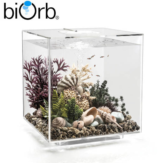 BiOrb Cube 60 Aquarium MCR LED Lighting Black / White / Clear