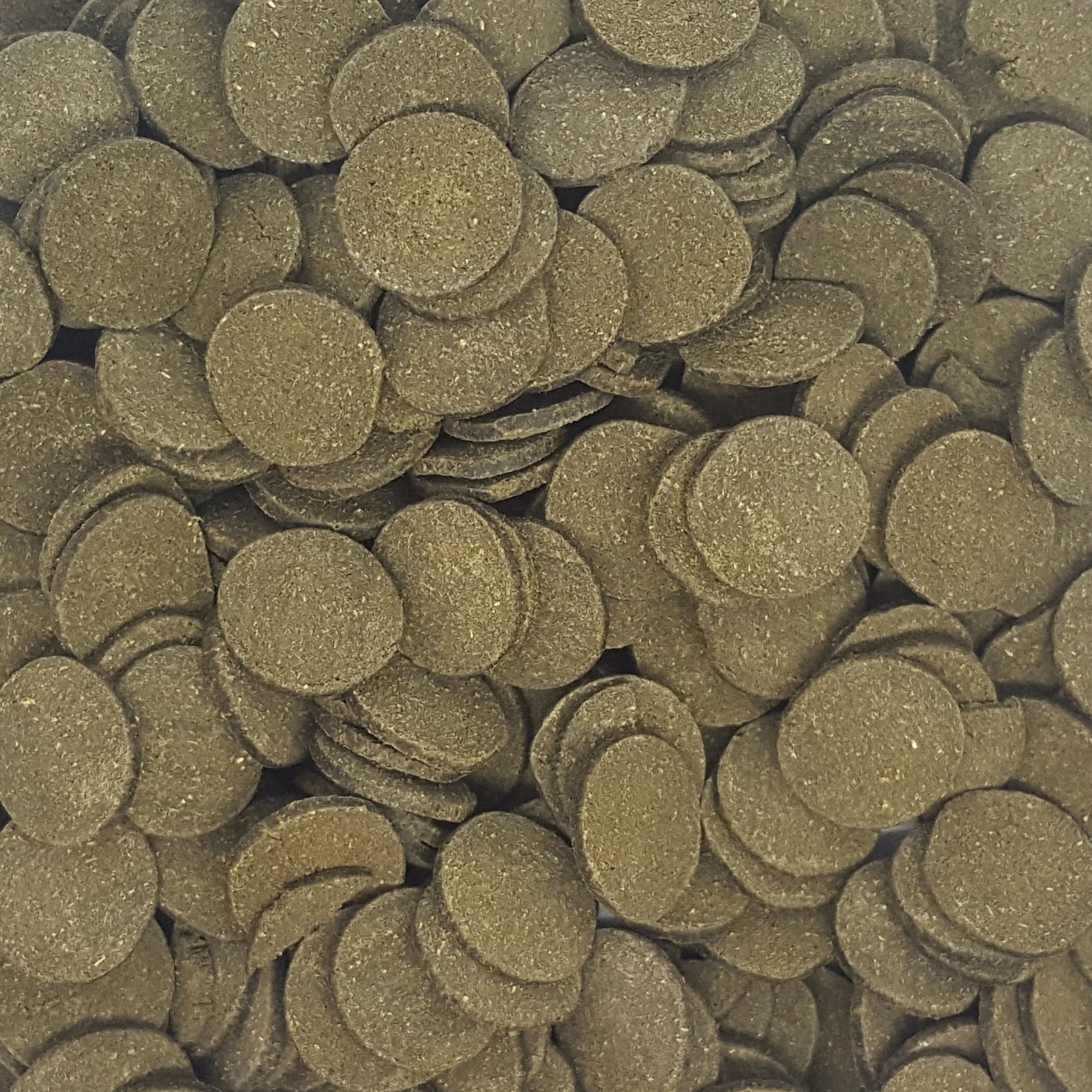 Premium Spirulina Algae Wafers for Bottom Feeders