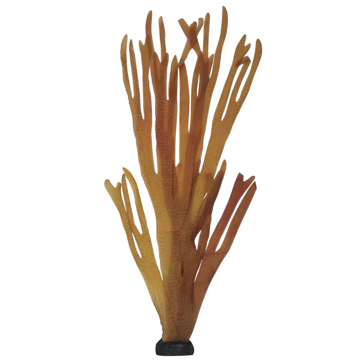 Aqua One Silk Plants Decorscape Laminaria 3 Sizes