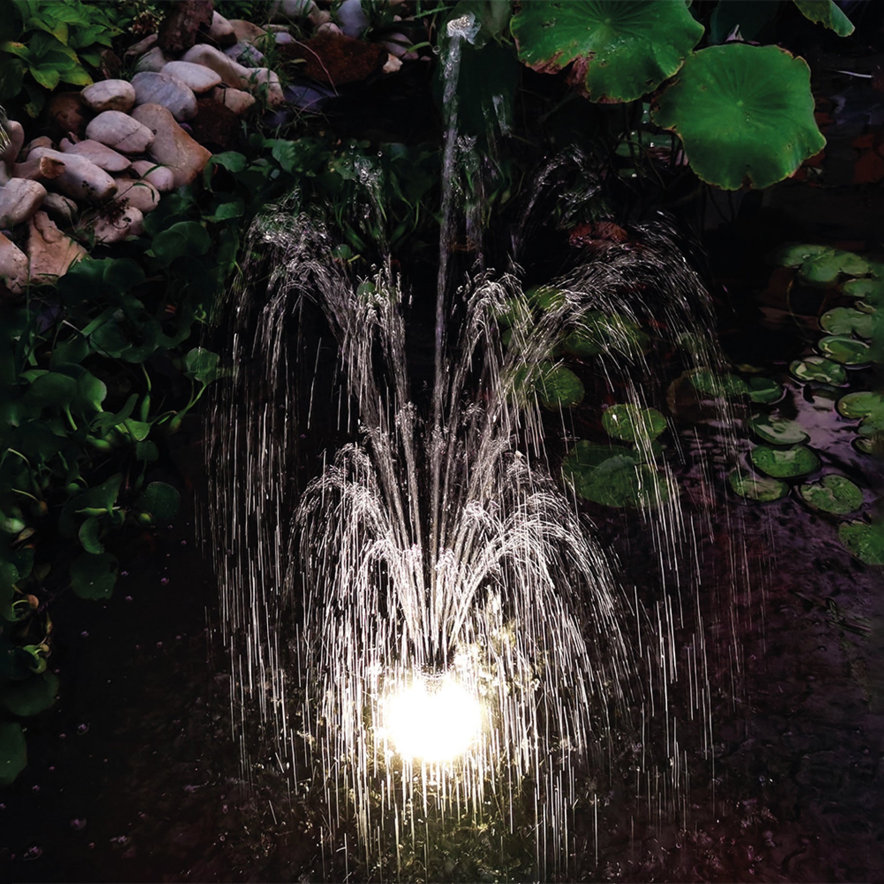 Betta Choice 6 LED Light & 6Ah Battery Pack