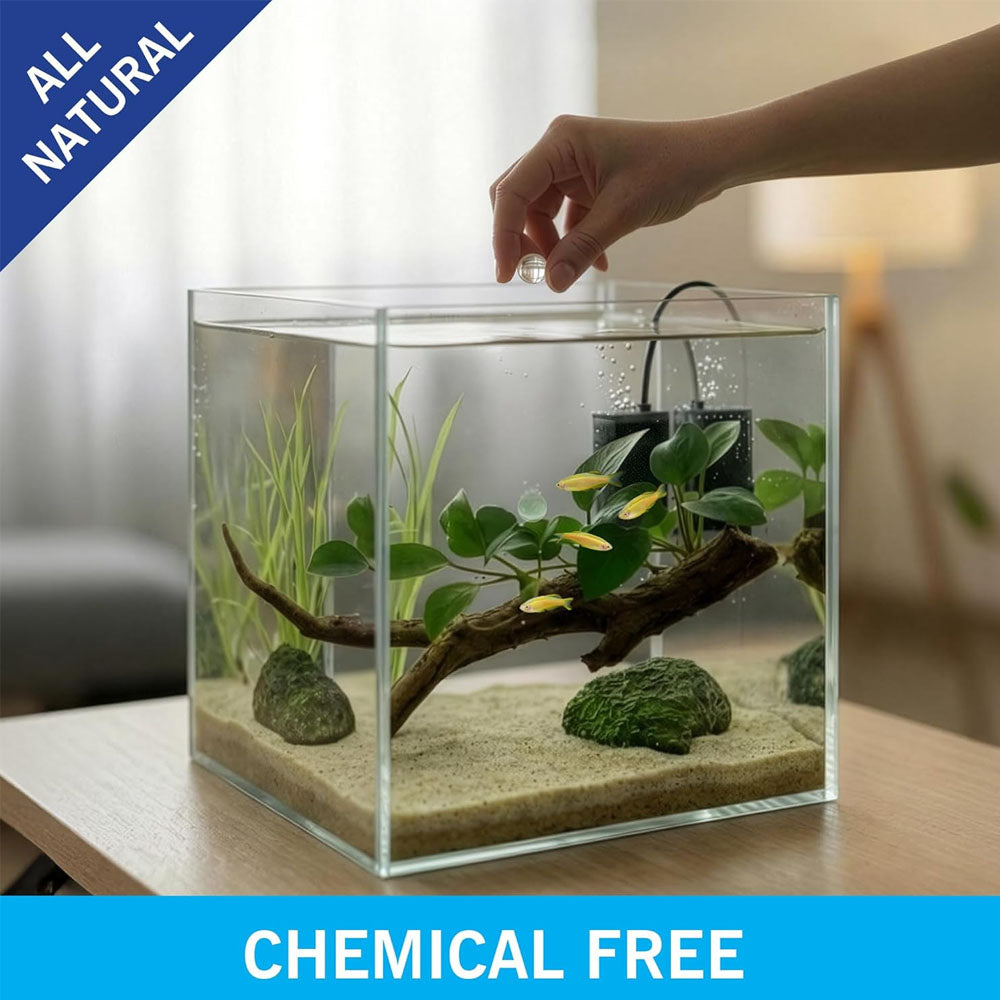 Evolution Aqua PURE Bio Care Duo Pack – 2-in-1 Aquarium Treatment