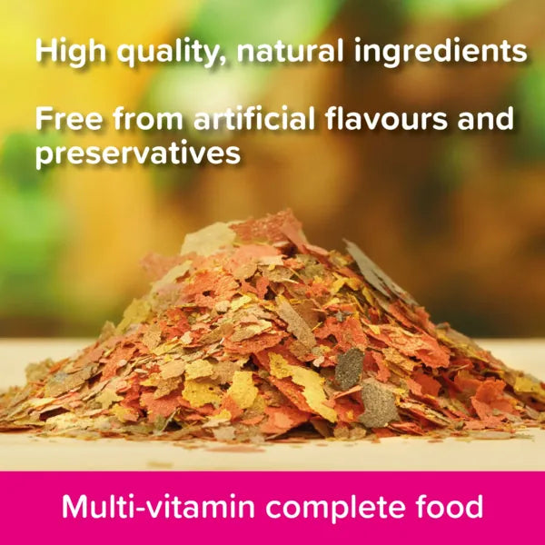 King British Tropical Flake Fish Food 28/55/200g