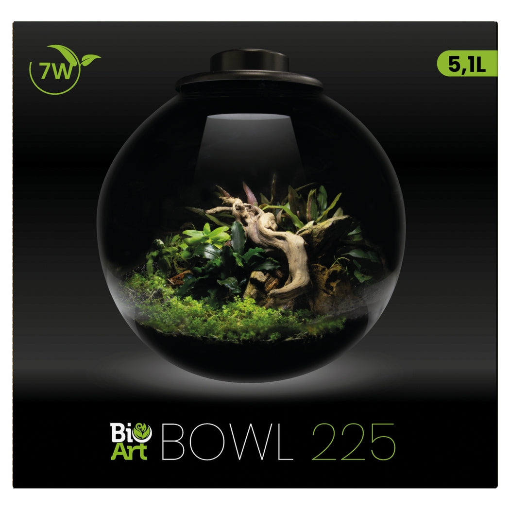 BioArt BOWL Terrarium Micro Landscape Black 5.1L