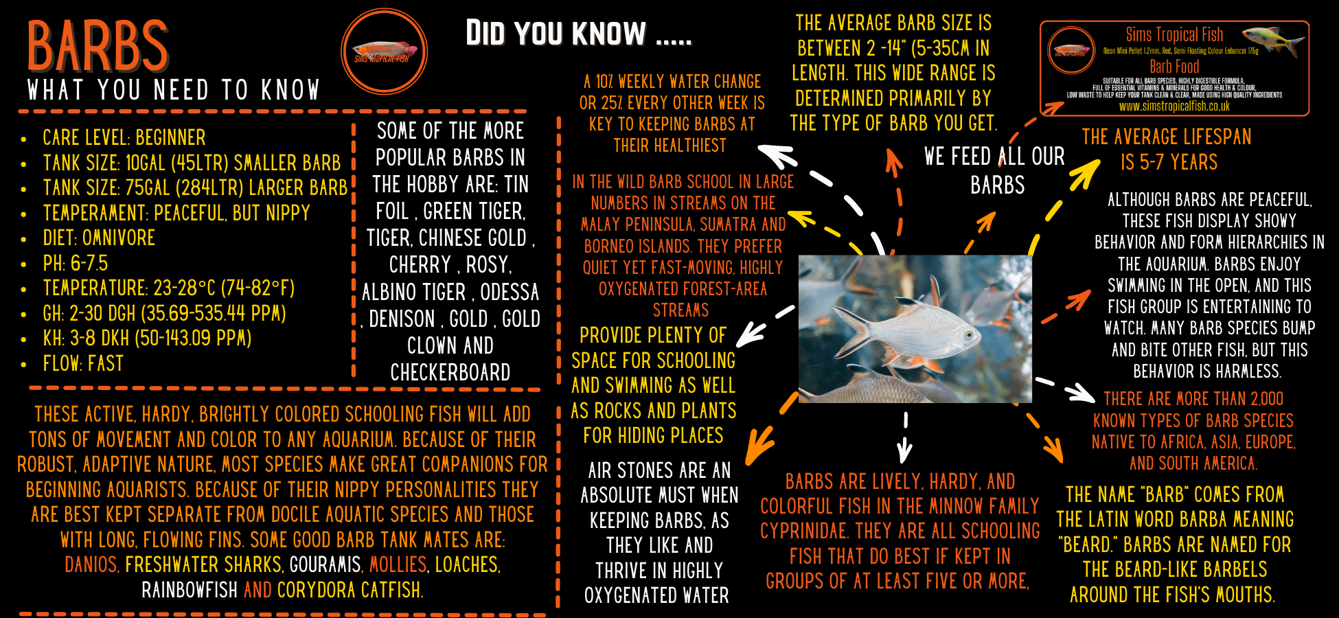 Assorted Tiger Barb Puntius Tetrazona 3cm - Real Aquatics