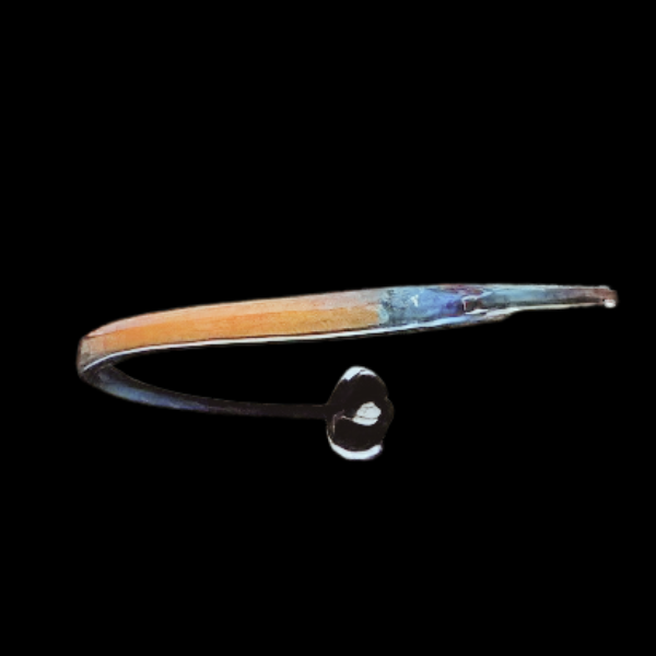 Flame Pipefish Doryrhamphus Janssi - Real Aquatics