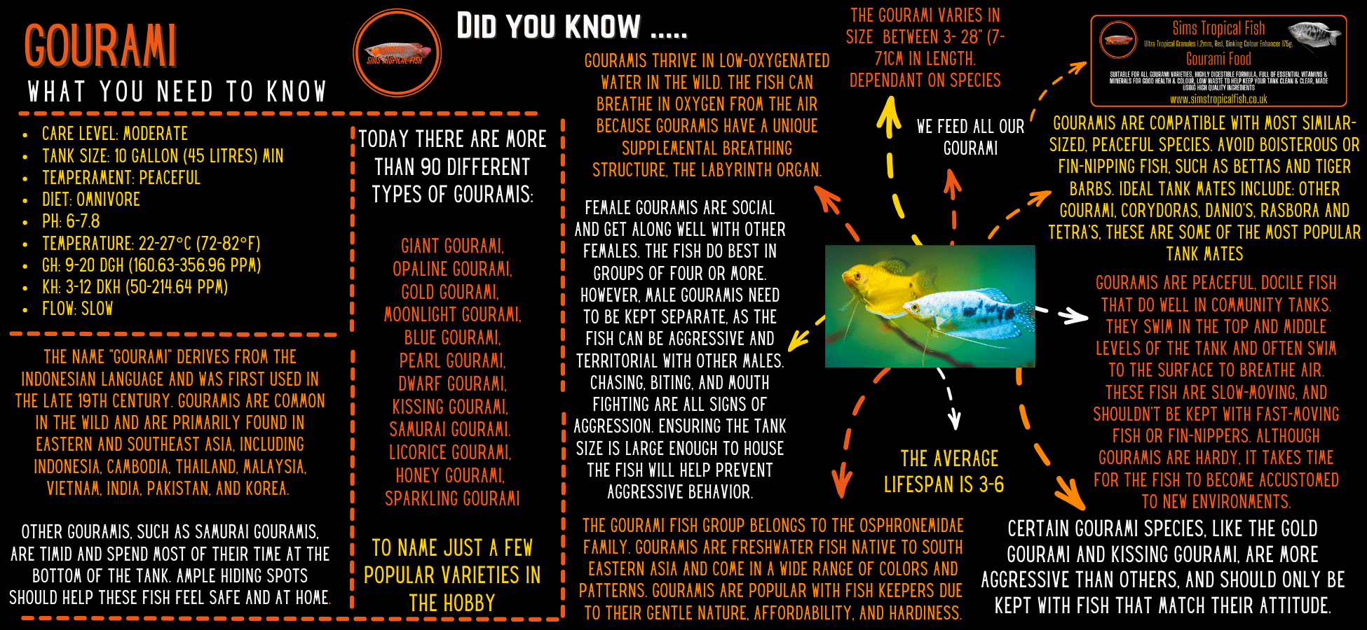 Opaline Gourami Trichopodus Trichopterus 5cm - Real Aquatics