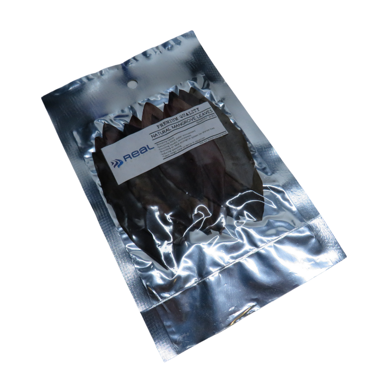 Natural Mangrove Leaves x20