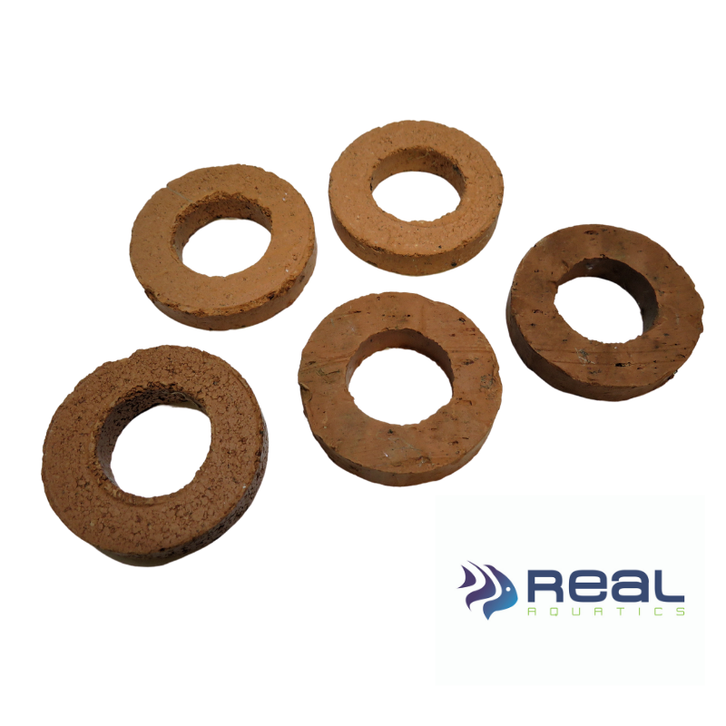 Plant Pot Weights Ceramic Discs Rings 3.5cm (Set of 5)