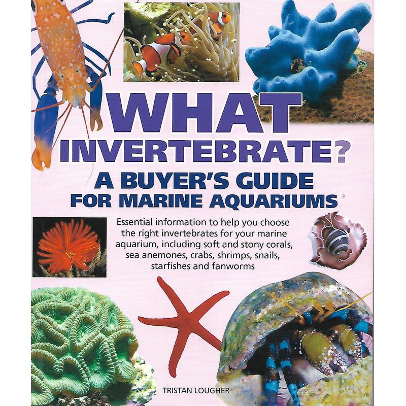 Book cover of "What Invertebrate? A Buyer's Guide for Marine Aquariums" by Tristan Lougher, showcasing marine invertebrate guide.