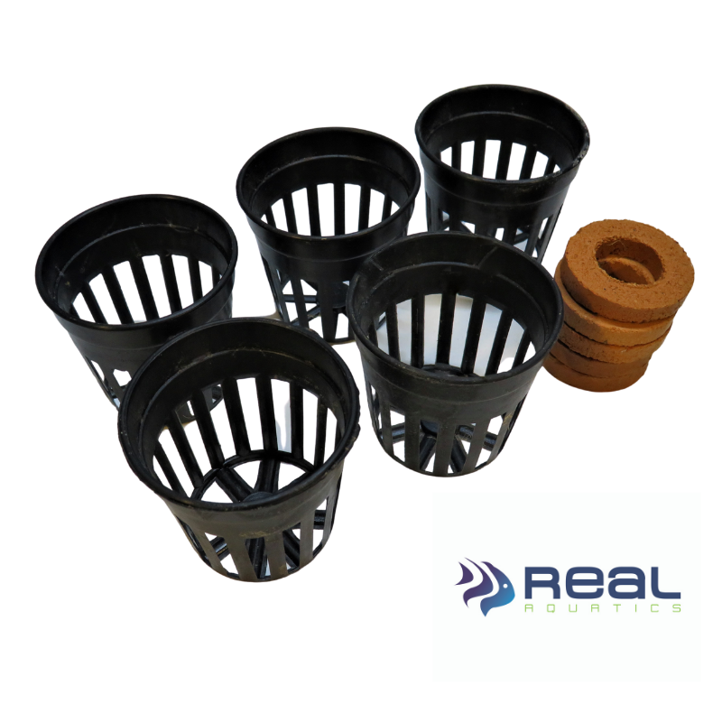 Small Plant Pots and Ceramic Weights 5cm (Set of 5)