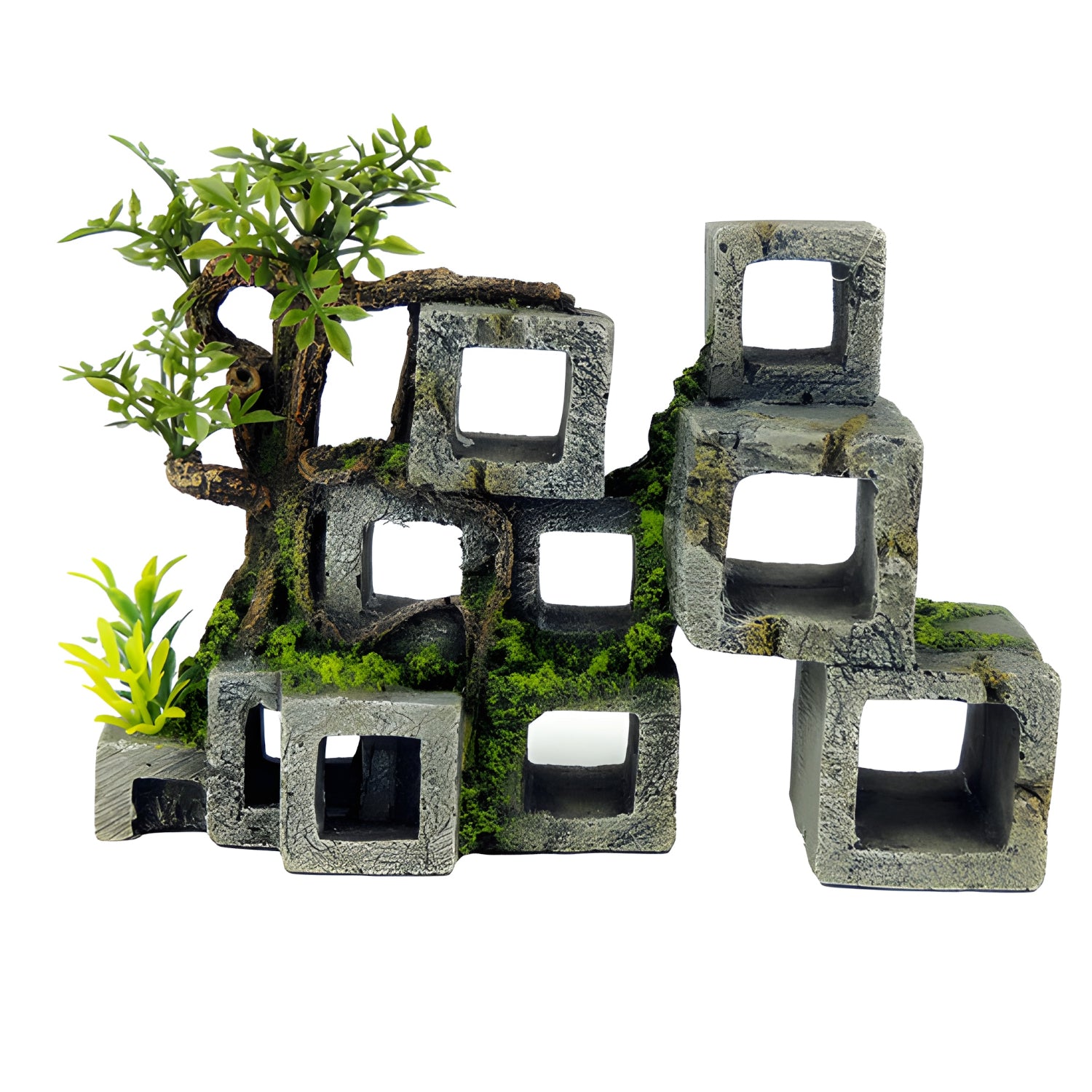 Classic Aquatics Cube Concrete Swim through with plants 220mm