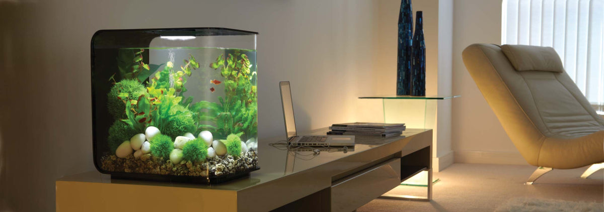 BiOrb Flow 30L Aquarium MCR LED Lighting Black / White