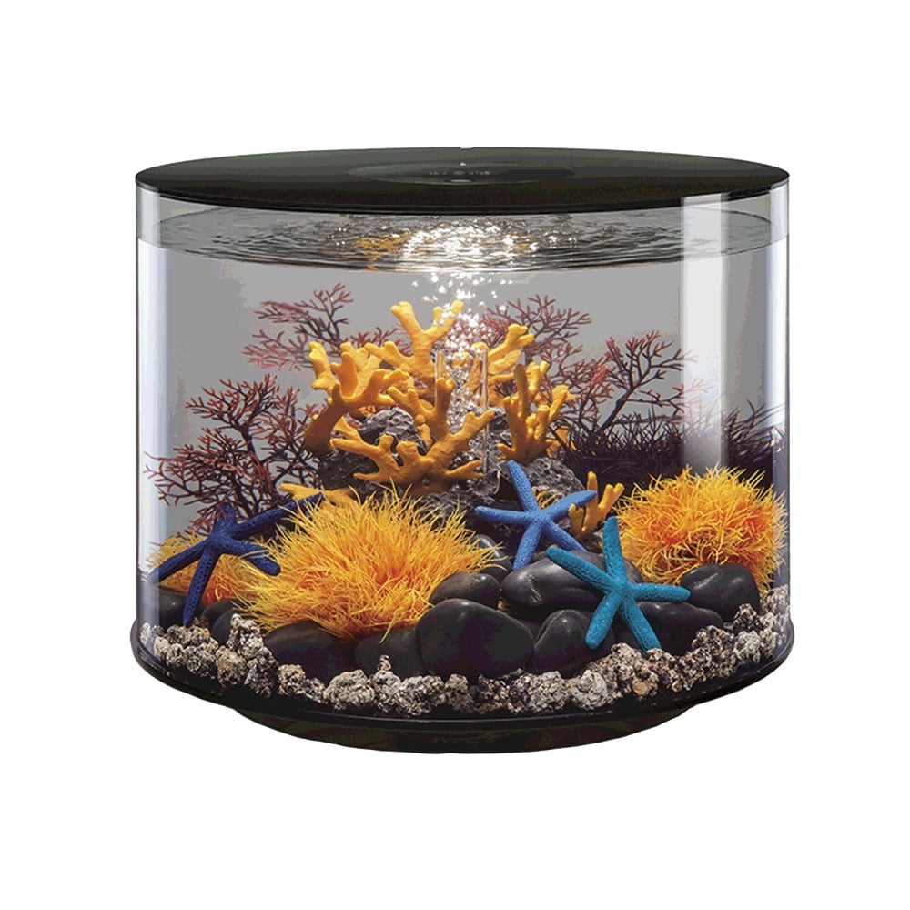 biOrb Tube 35L Aquarium with MCR LED Lighting