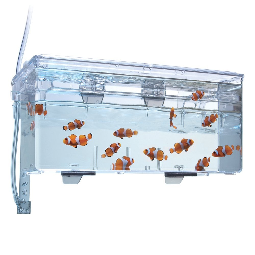 Fluval Hang-On Multi-Chamber Holding and Breeding Box for aquariums, with multiple compartments for fish or breeding purposes.