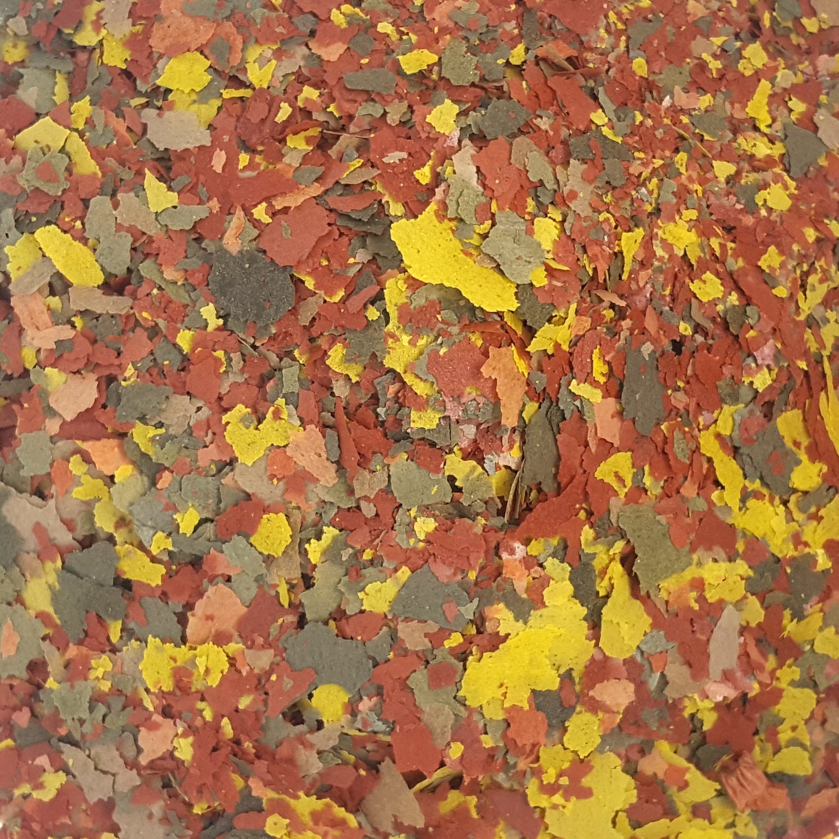 Tropical Flakes Premium Aquarium Fish Food