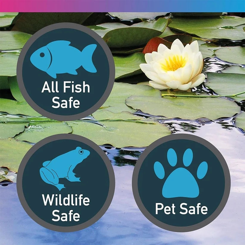 NT Labs Black Pond Dye 250ml