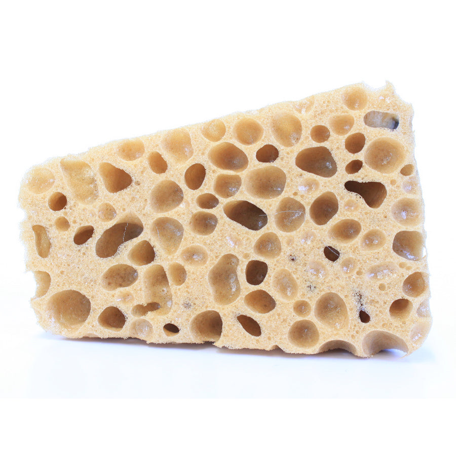 Dennerle Cleanator Glass Cleaning Sponge - tackles Algae & Limescale