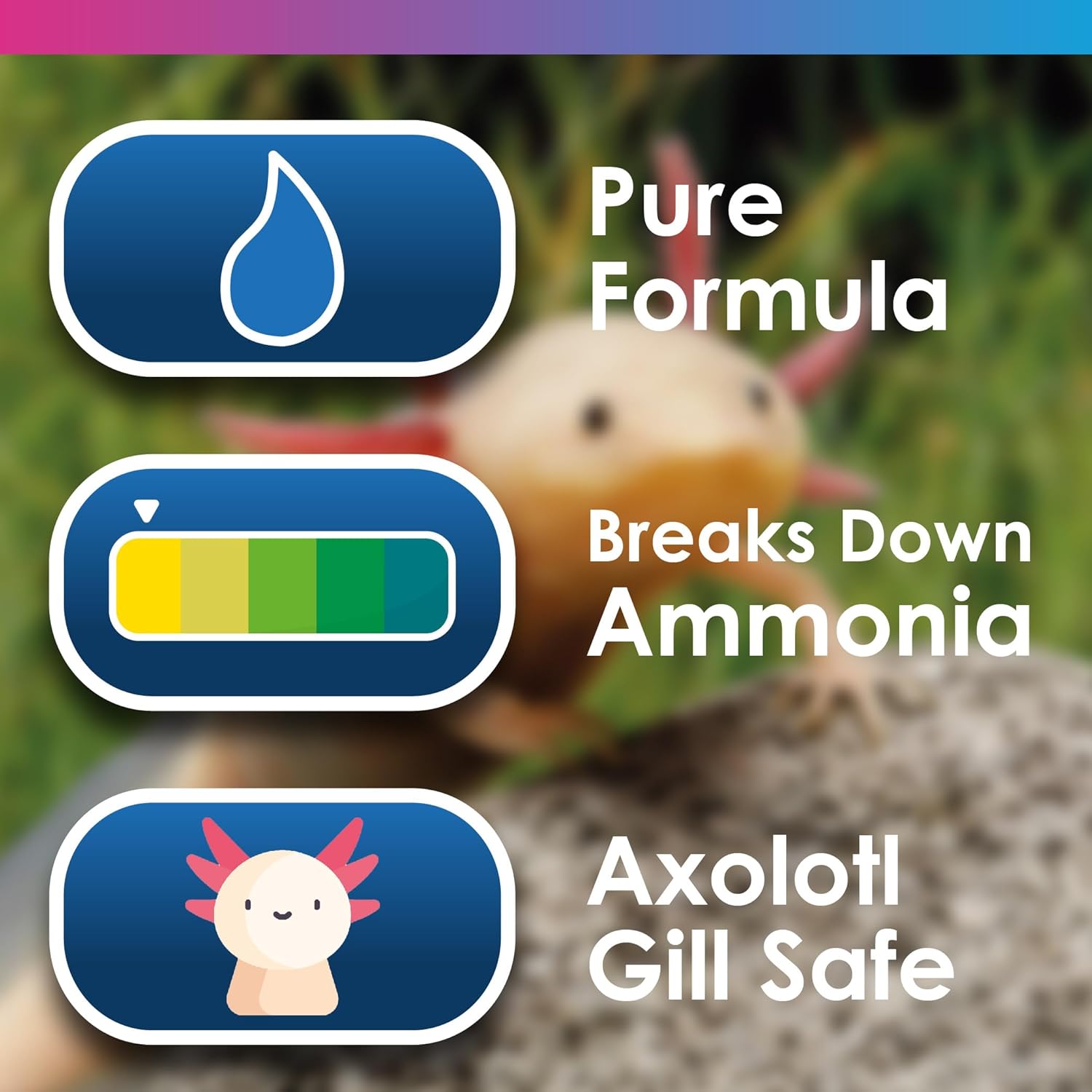 NT Labs Aquarium AxoStart Filter Bacteria 100ml