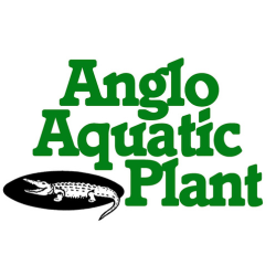 Anglo Aquatics